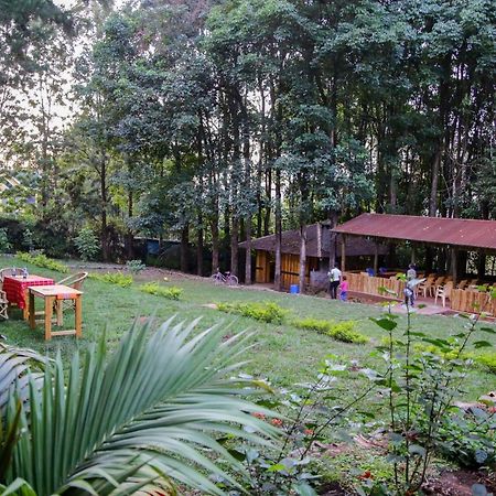 Africana Yard Kitale Eksteriør bilde